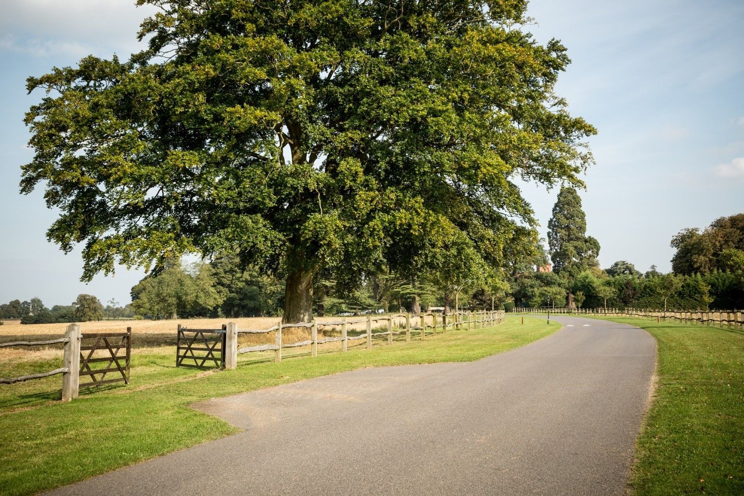 Oakley Hall Hotel Basingstoke Konforlar fotoğraf